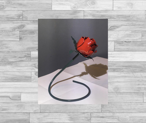 Ultimate Forever Rose