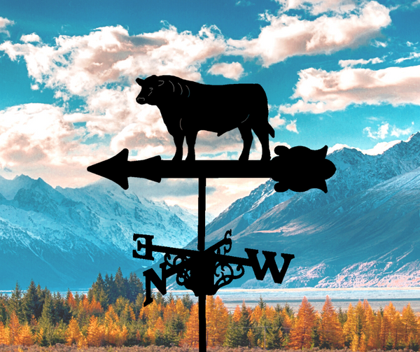 Angus Bull Weathervane