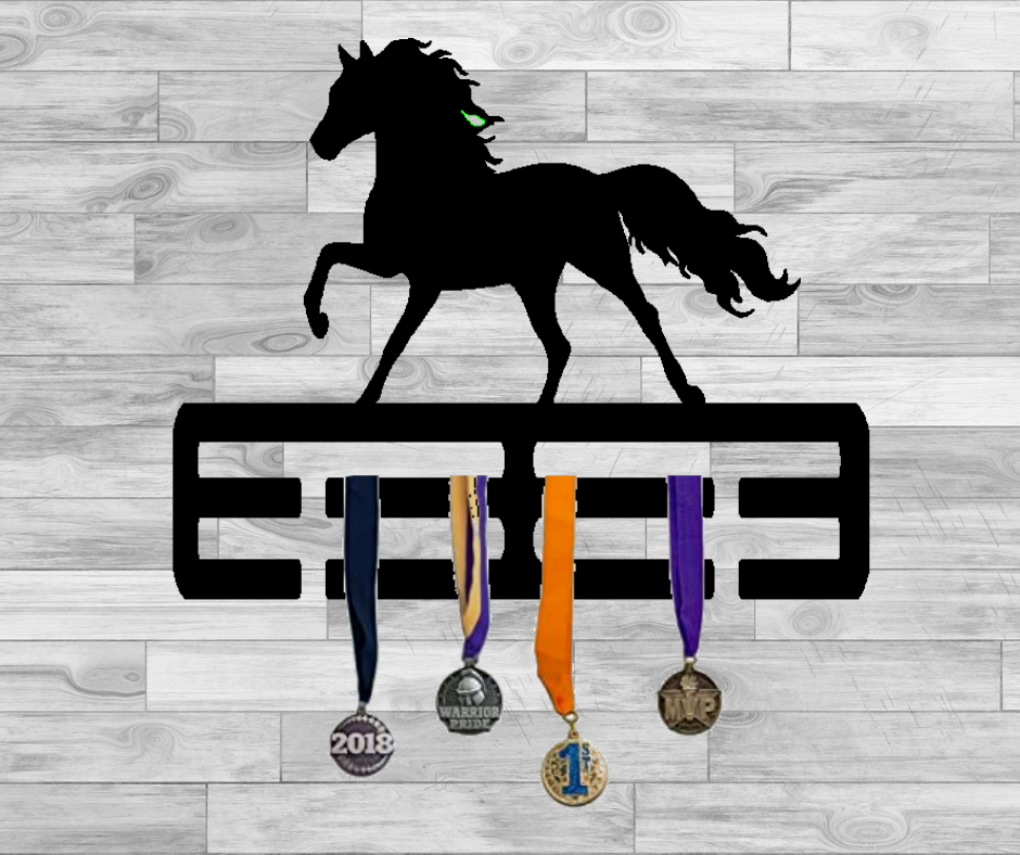 Horse Medal/Ribbon Display