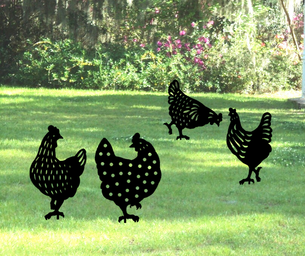 Delightful Yard Chickens